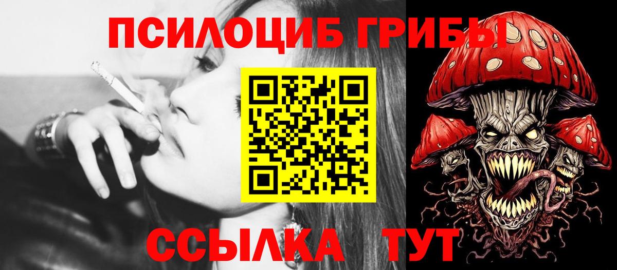 Псилоцибиновые грибы Cubensis  Вход с VPN  Нальчик 