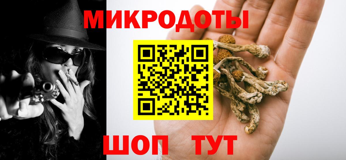 Псилоцибиновые грибы ЛСД Нальчик